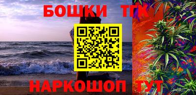 стаф Нальчик