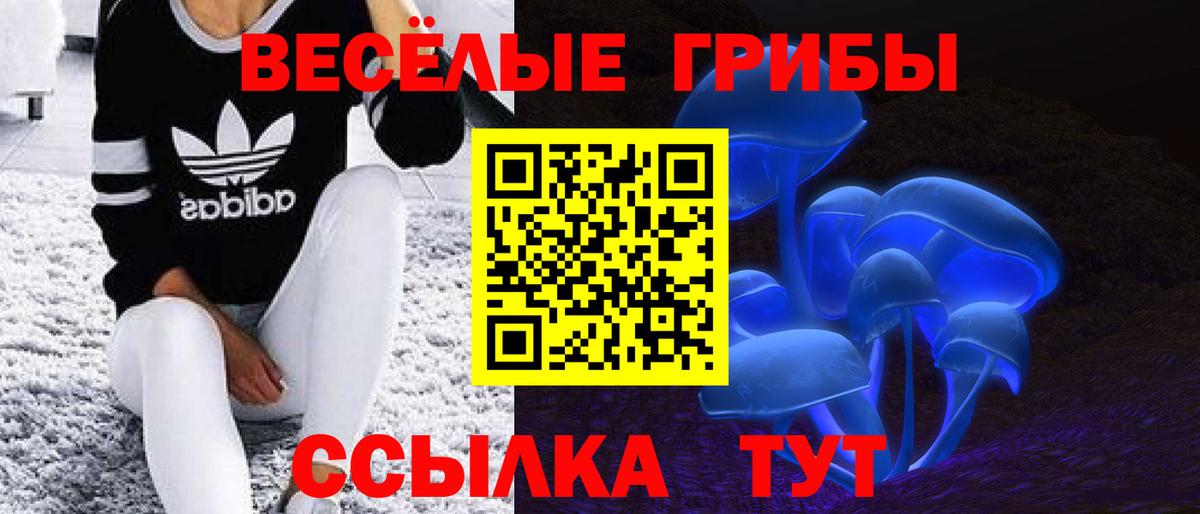 Светлоград  Галлюциногенные грибы Magic Shrooms  Псилоцибиновые грибы Psilocybine cubensis  Вход с VPN 